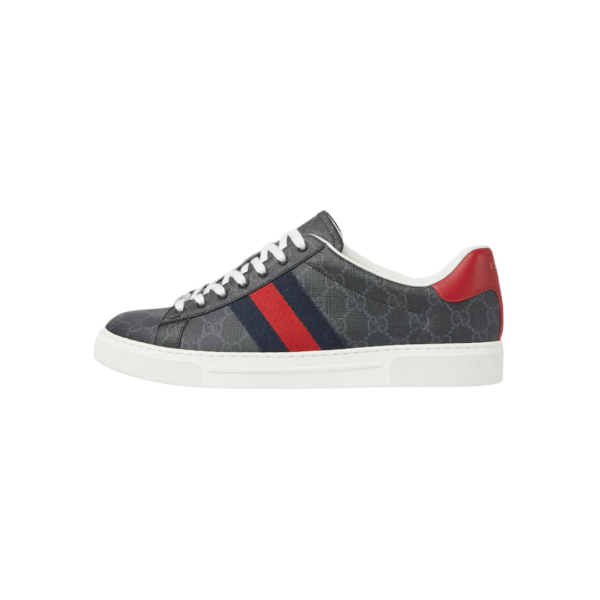 Ace sneaker with Web