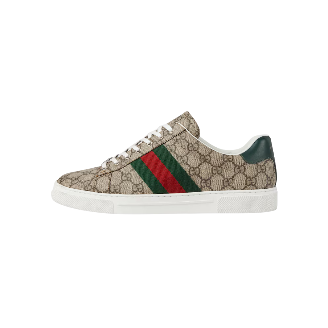 Ace sneaker with Web