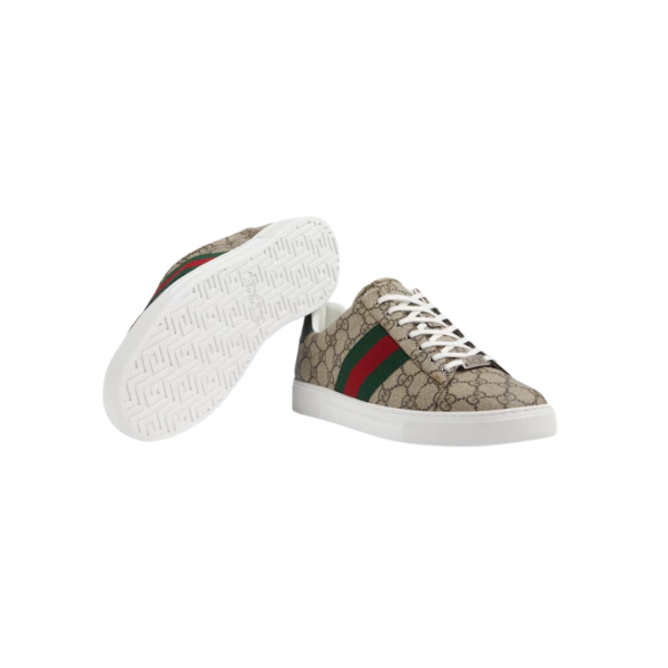Ace sneaker with Web - Image 5